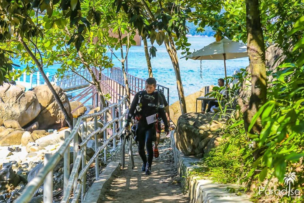 Patong Paradise Beach Backpackers Hostel מראה חיצוני תמונה